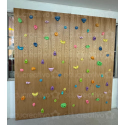 Pared escaladora